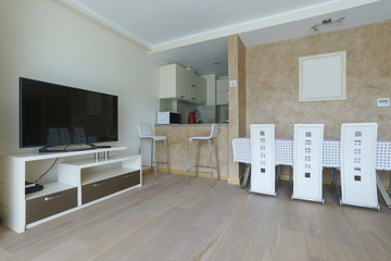 Interior of a living room and a drawing room in a guest house