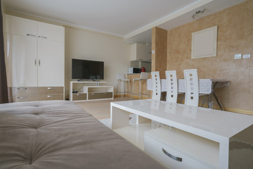 Interior of a living room and a drawing room in a guest house