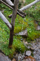 adapting to drink from a spring or a mountain river