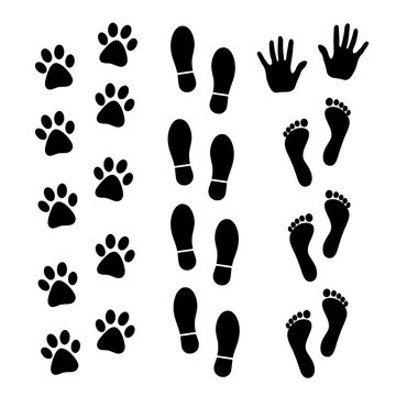 Vector set of black footprints of humans and animals.