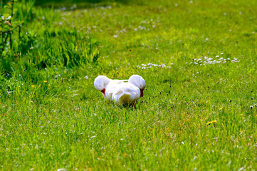 Fototapete bei efototapeten.de bestellen   