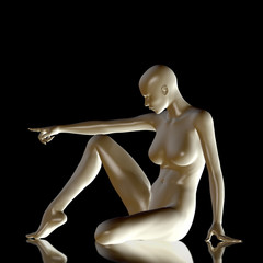 3d rendered illustration of female body