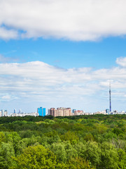 Fototapeta na wymiar forest and city on horizon under cloudy blue sky