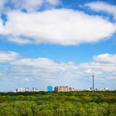 Fototapeta na wymiar green trees and city buildings on horizon