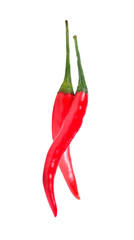 Red peppers isolated on white background