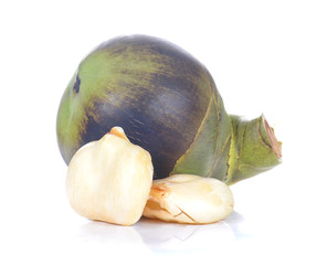 Toddy Palm,Palmyra palm on white background.