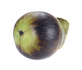 Toddy Palm,Palmyra palm on white background.