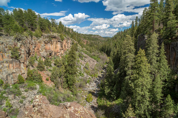Fototapeta na wymiar Sycamore Canyon Rim Trail in Arizona.