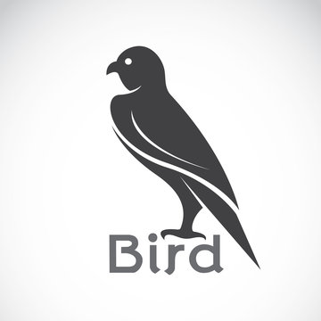 Vector image of an bird design on white background, Bird logo, E