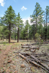 Obraz premium Keyhole Sink Trail in Arizona