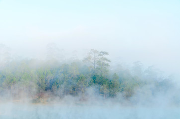 Morning fog over lake with pine forest at Galyani Vadhana District in Thailand