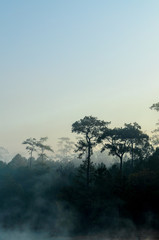 Morning fog over lake with trees forest silhouette at Galyani Vadhana District in Thailand