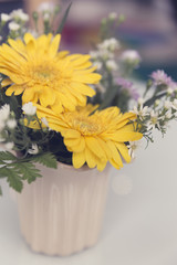 bouquet of blooming yellow gerbera