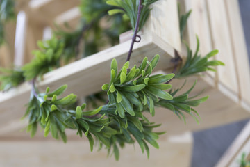 artificial green leaves on wooden box
