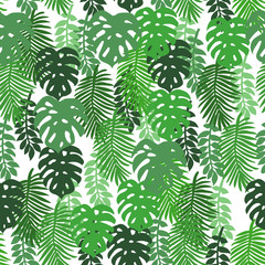 On a white background tropical leaves. Pattern seamless