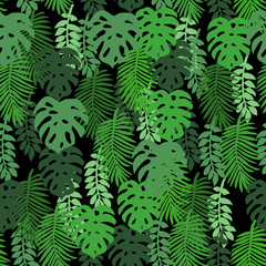 Tropical leaves on a black background. Pattern seamless