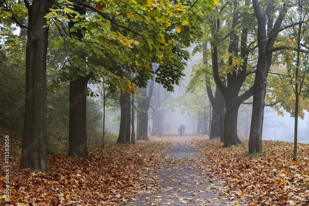 Canvas Prints misty evening in old park