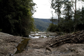 Fluss im australischen Regenwald