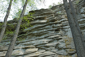 stone, texture, layered, wall, rock, travel, tourism, design, Kazakhstan, forest, background
