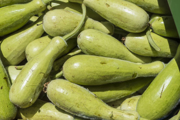 Zucchini on a market
