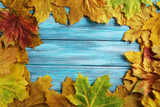 Autumn leafs on a blue wooden table
