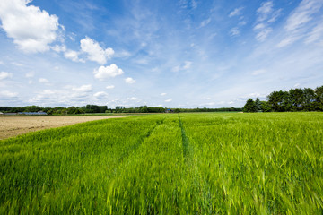 Blue Sky at St. Hubert / Rhineland