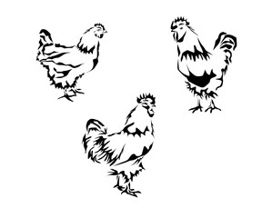 Vector silhouette of a chicken and a rooster. Tattoo