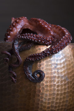 Boiled octopus in a stewpan over dark background