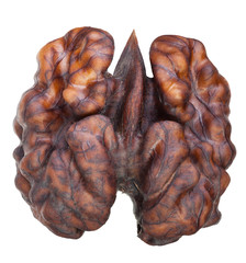 Brown walnut core isolated on white with clipping path