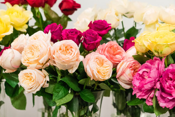 nice roses