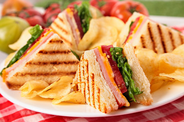 Summer picnic club sandwich ham and cheese, close up