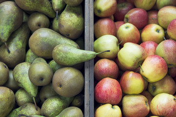 Stack of green pears next to pile of fresh red and green apples on display in outdoor baskets at farmers fruit market 