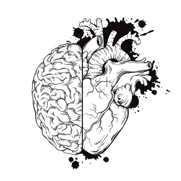 Hand drawn line art human brain and heart halfs. Grunge sketch tattoo design isolated on white background vector illustration. Logic and emotion priority concept. 