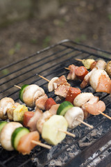 Selective focus on the meat and vegetables on the grill