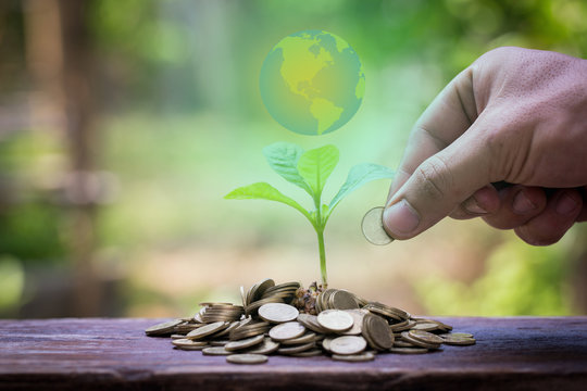 Business growth with csr practice / Business investment with env