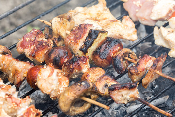 Chicken white meat kebabs on the grill
