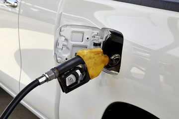 Petrol pump filling