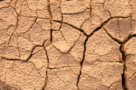 Close up dry crack soil texture background.