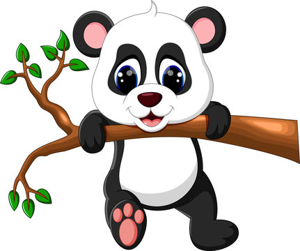 illustration of cute baby panda cartoon