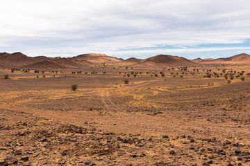 road in the desert Sahara