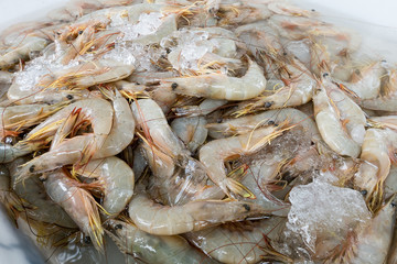 Pile of fresh shrimps for retail sale in local market