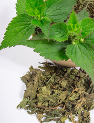 Heap of fresh and dry nettle.