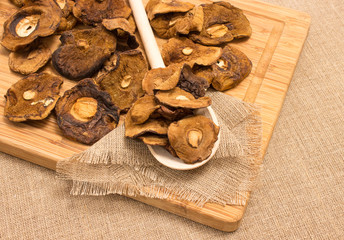 Dried mushrooms on canvas