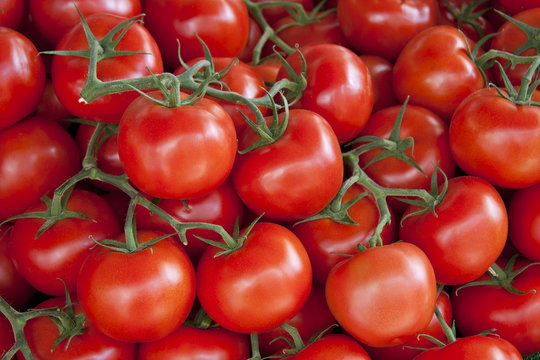 Fresh tomto background