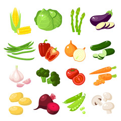 Set of cartoon food: vegetables - corn, cabbage, asparagus, eggplant, green bean, bell pepper, onion, cucumber, garlic, broccoli, tomato, carrot, potato and so. Vector illustration, isolated on white.