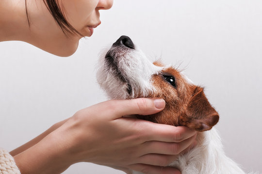 Closeup Portrait Handsome Young Hipster Woman, Kissing Her Good Friend Dog On Grey Background. Positive Human Emotions, Facial Expression, Feelings