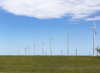Fototapeta premium Free wind energy