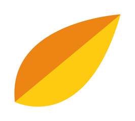 Yellow leaf vector illustration.