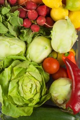 Domestic vegetable organic quality. Growing your own vegetables. Healthy diet meals.
