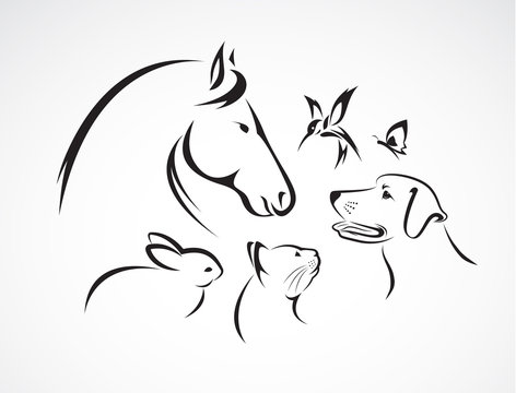 Vector group of pets - Horse,dog, cat,bird, butterfly, rabbit. Animal.
